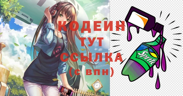 хмурый Билибино