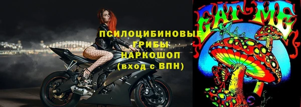 молекула духа Бикин
