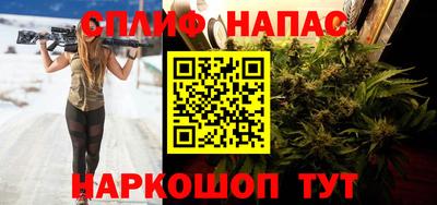 ECSTASY Гатчина