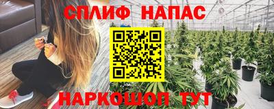 каннабис Гай