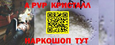 ECSTASY Гатчина