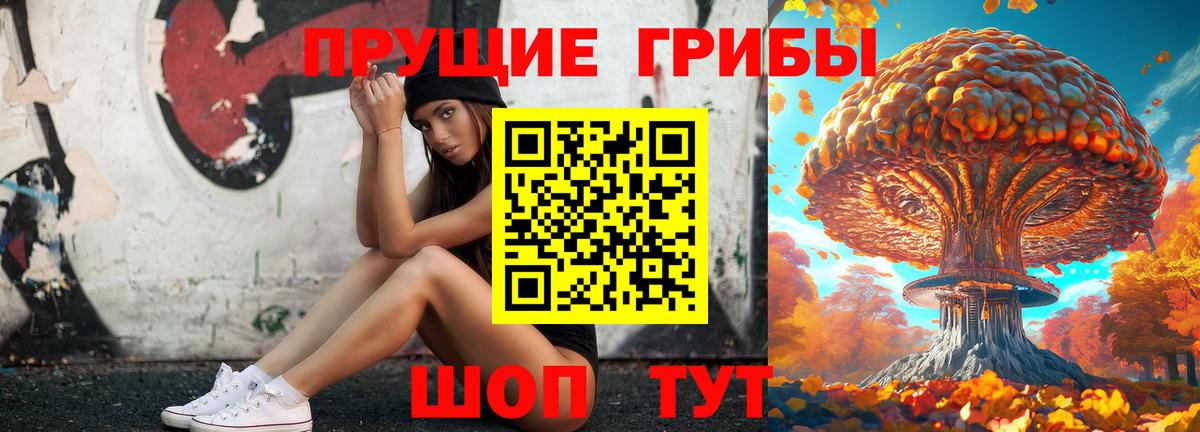 Галлюциногенные грибы Magic Shrooms  продажа наркотиков  Зеленогорск  Вход с VPN 