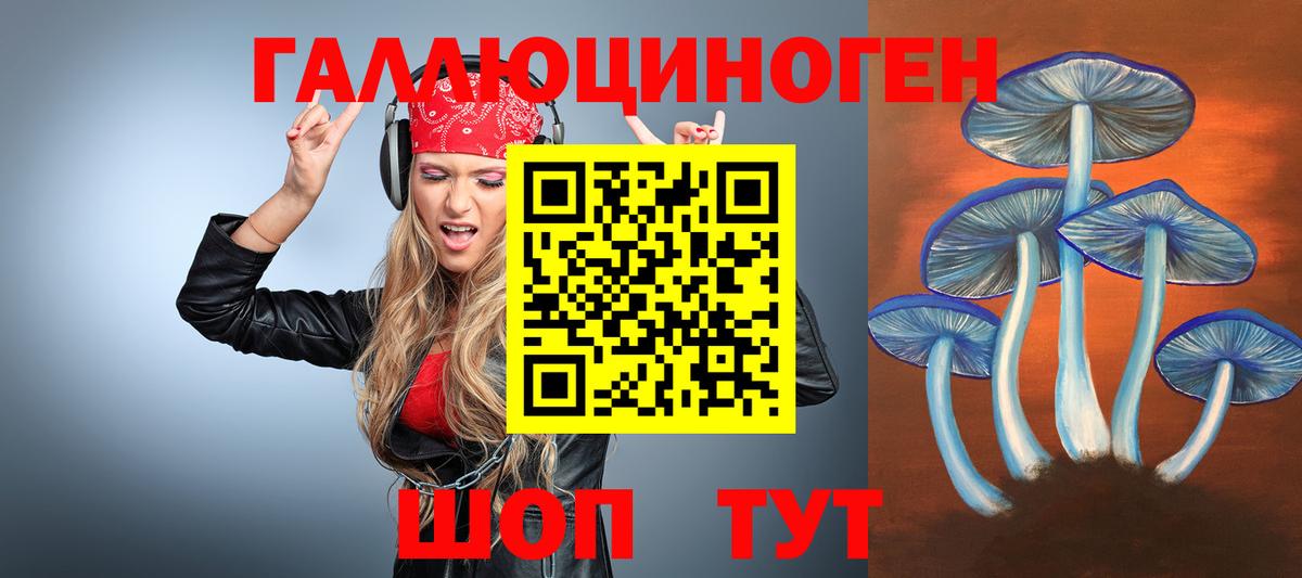 Галлюциногенные грибы Cubensis  Зеленогорск  где купить наркотик  Псилоцибиновые грибы мухоморы 