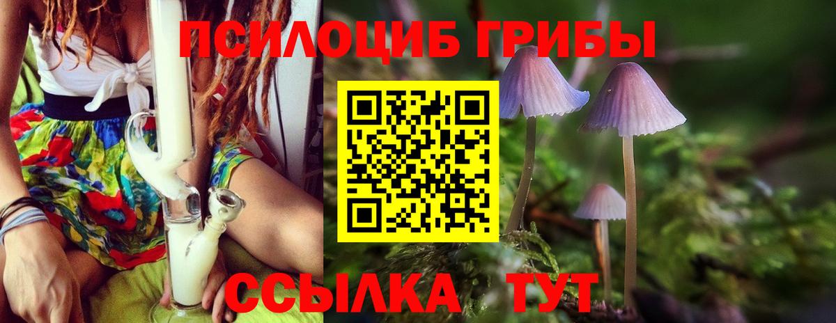 Галлюциногенные грибы Cubensis Зеленогорск