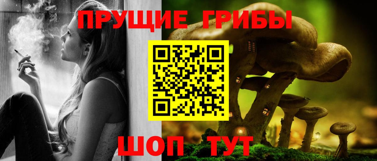 Псилоцибиновые грибы Psilocybe Зеленогорск