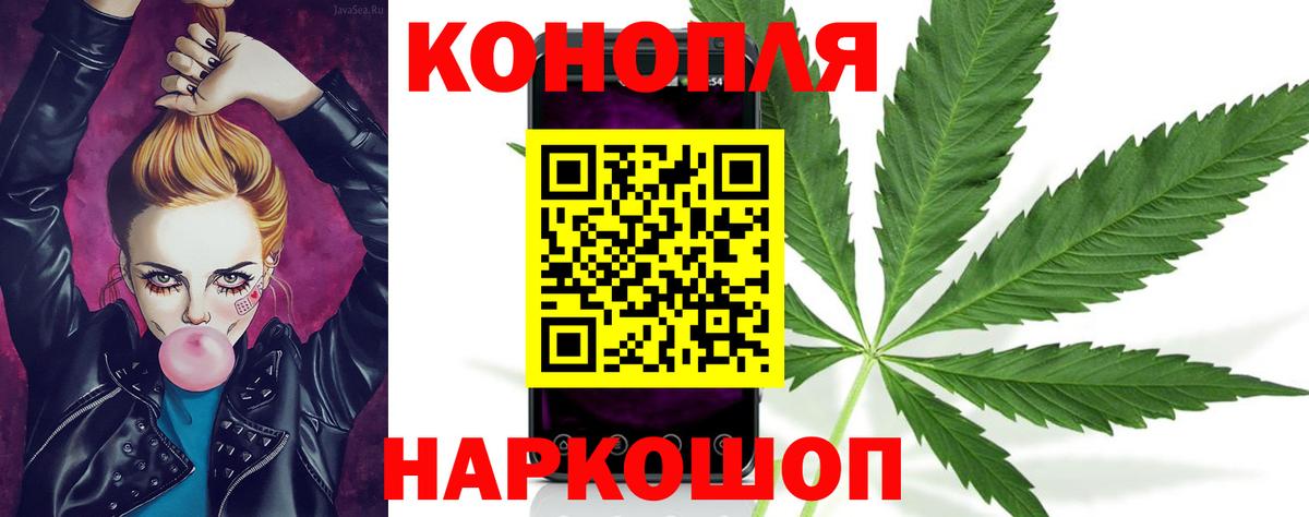 Канабис гибрид  Бошки Шишки ГИДРОПОН  Зеленогорск  Вход с VPN 